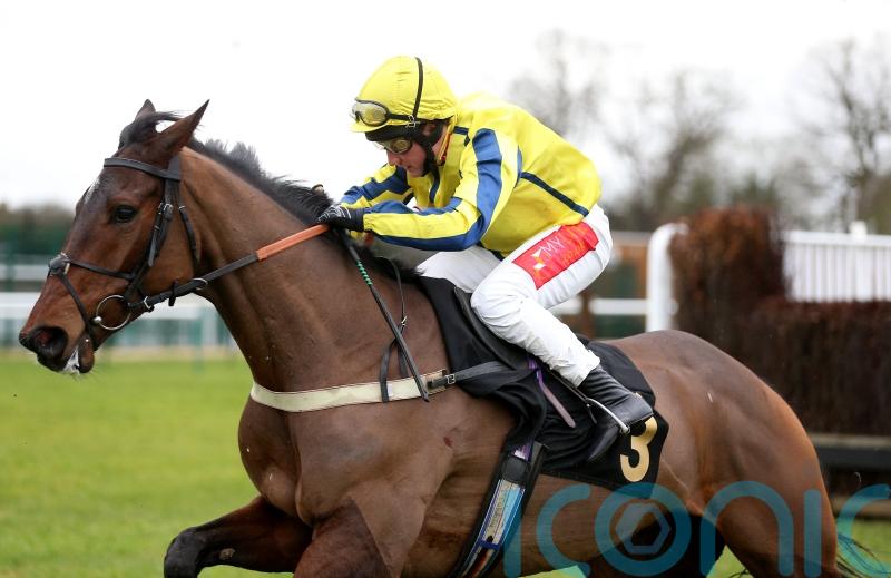 Cheltenham or Sandown under consideration for Haddex