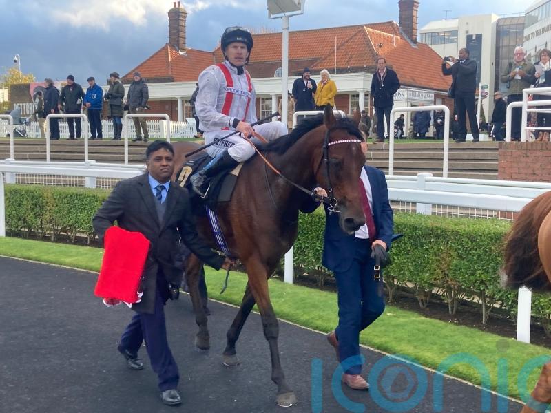 Hamish stays perfect for the year in victory at Newmarket