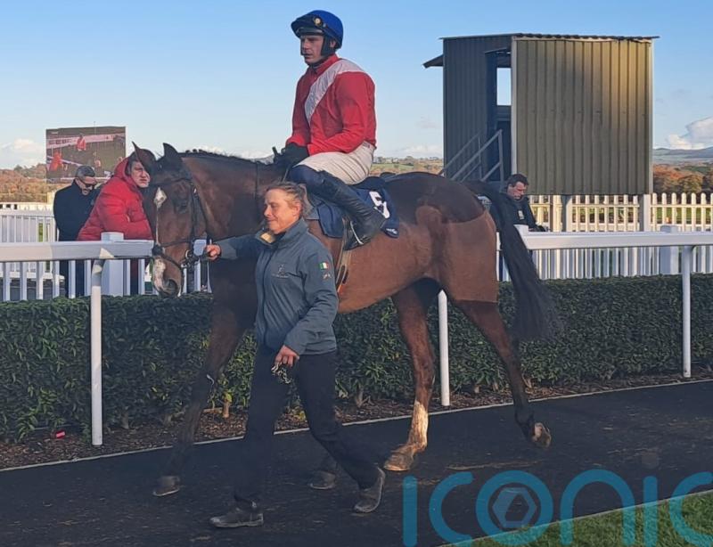 Cheveley Park pair justify big price tags at Naas