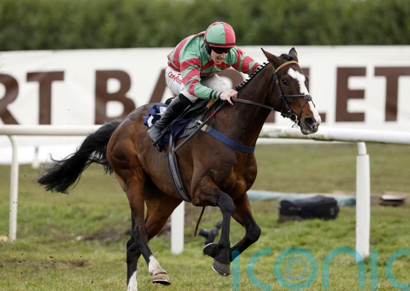 Tommy’s Oscar forced to sidestep Cheltenham trip