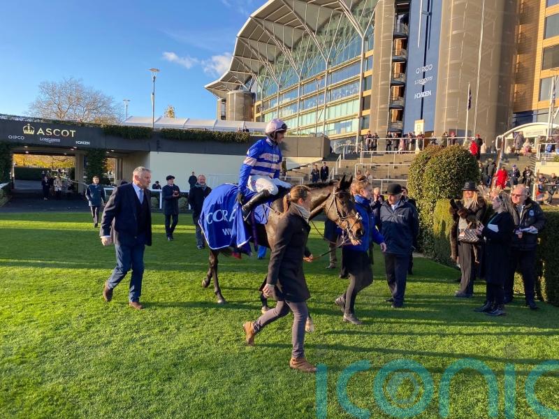 Blueking D’Oroux takes Coral Hurdle prize