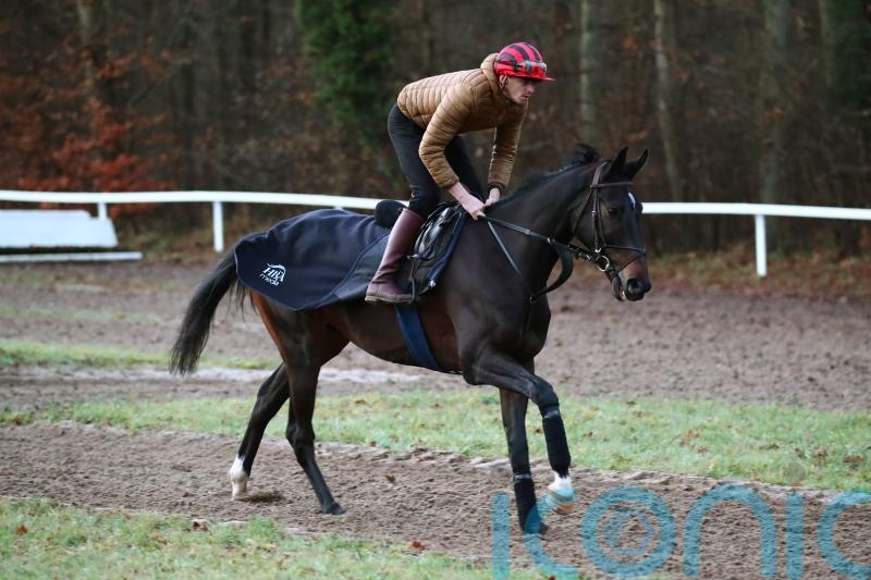 ‘Unbelievable’ Ile Est Francais in great shape for Boxing Day