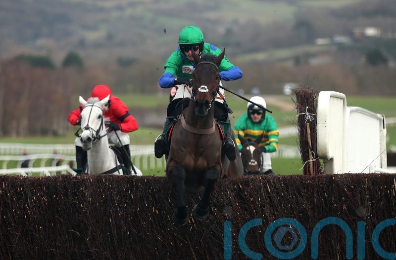 Ginny’s Destiny continues on upward curve at Cheltenham