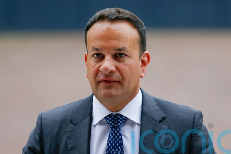 Taoiseach describes Roscrea clashes as ‘anti-freedom’
