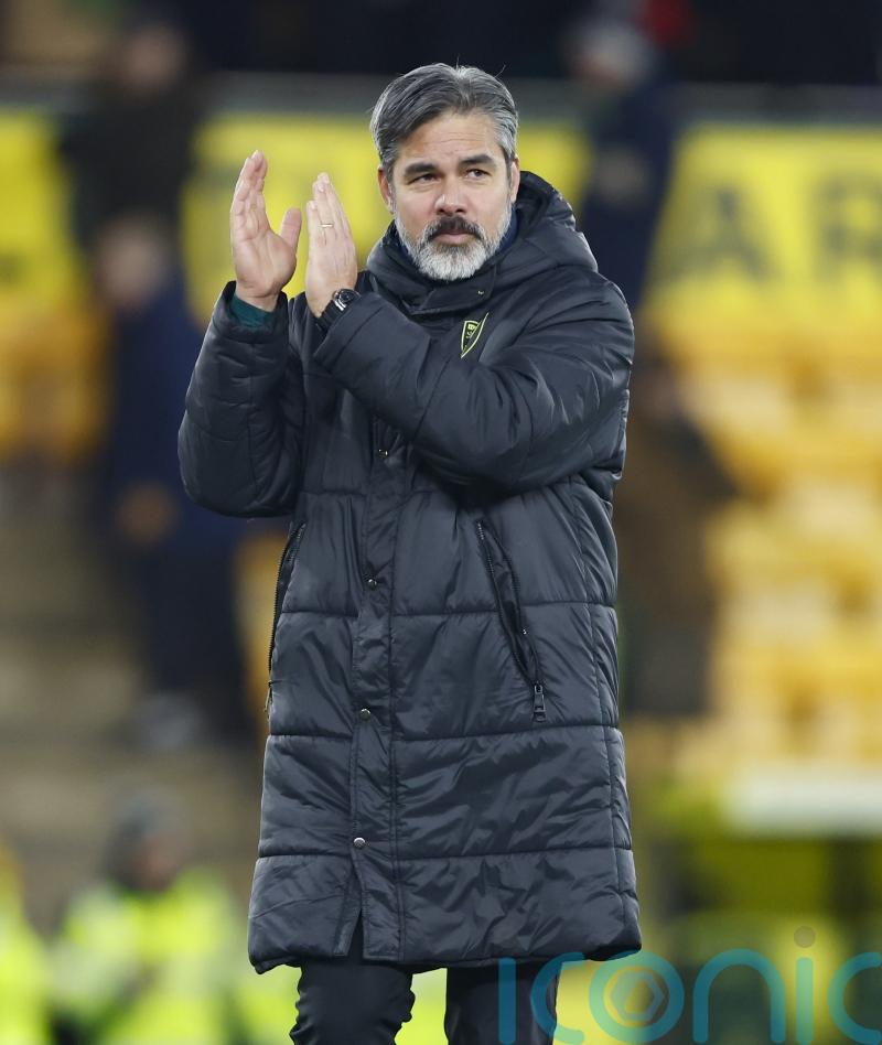 David Wagner feels Norwich ‘moving in the right direction’ after West Brom win