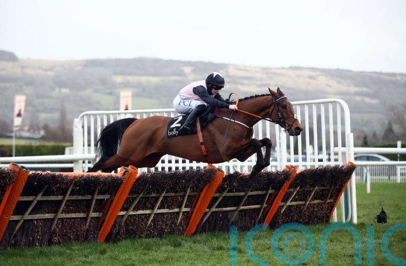 De Bromhead favouring Aintree for Bob Olinger