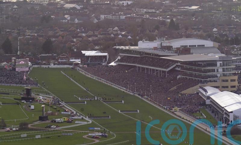 Baring Bingham becomes Gallagher Novices’ Hurdle