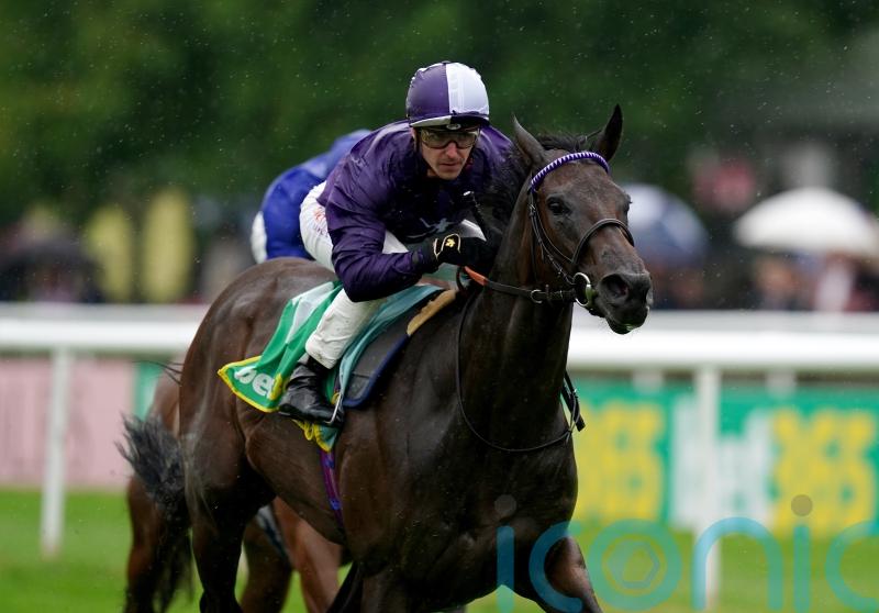 Dominic Ffrench Davis keen for rain to aid Persian Dreamer’s Classic aspirations