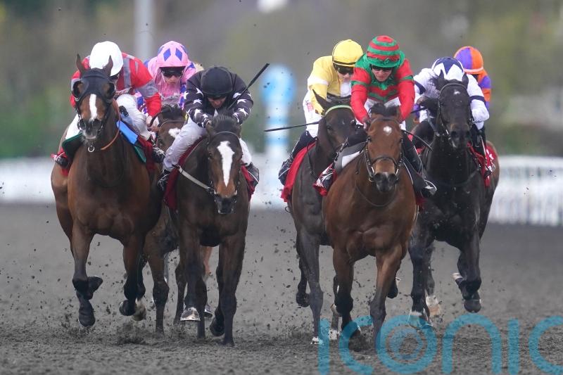 Al Barez gets back to winning ways at Kempton