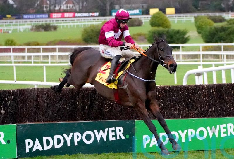 Conflated still top-weight for National after 51 stand their ground