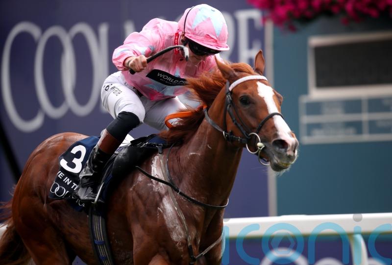 ‘Loftier targets and less racing’ the plan for Live In The Dream