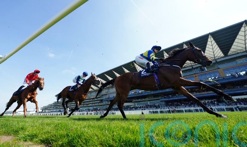 Trueshan all set for ‘tough’ Sagaro return