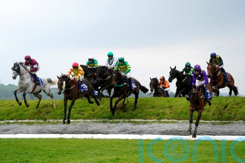 Singing Banjo hits the right notes at Punchestown