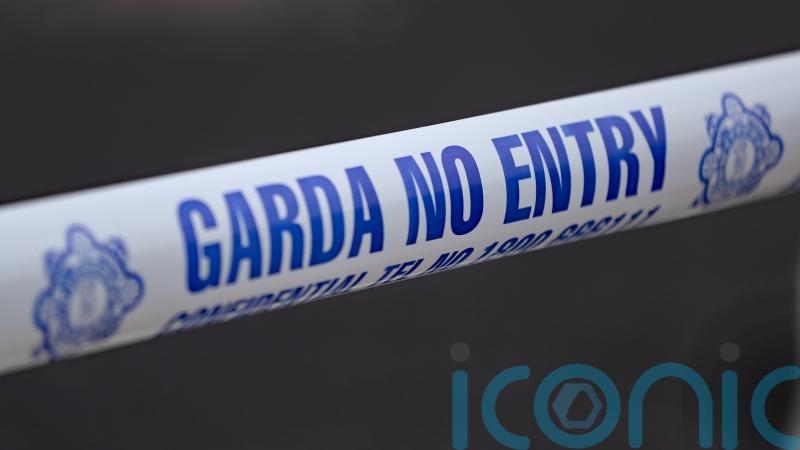 Teenage boy dies after getting into difficulty in Co Kildare canal