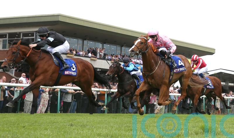 Live In The Dream team considering Haydock ‘curveball’