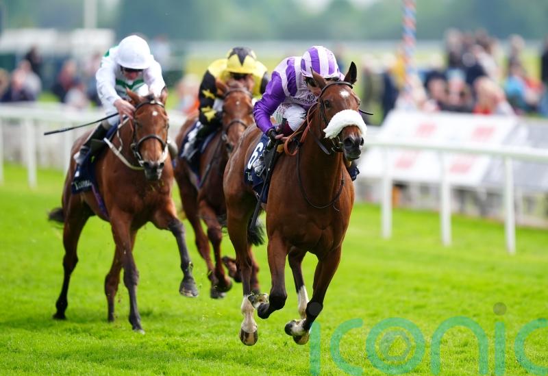 Murphy backs Satire’s class but admits stamina question