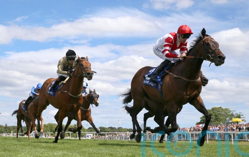 Osborne fears handicapper now has Ouzo in his grip