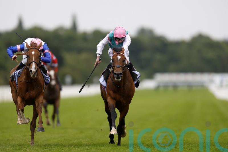 Klondike collects first prize in Grand Cup at York