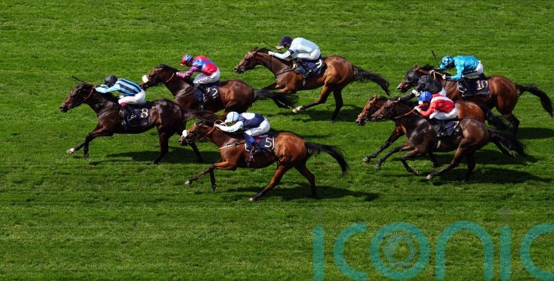 Breeders’ Cup return will be on the cards for Big Evs