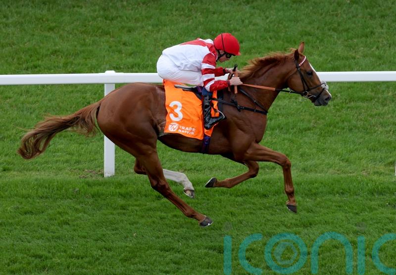 Charlton upbeat on King’s Gambit’s Hampton hopes