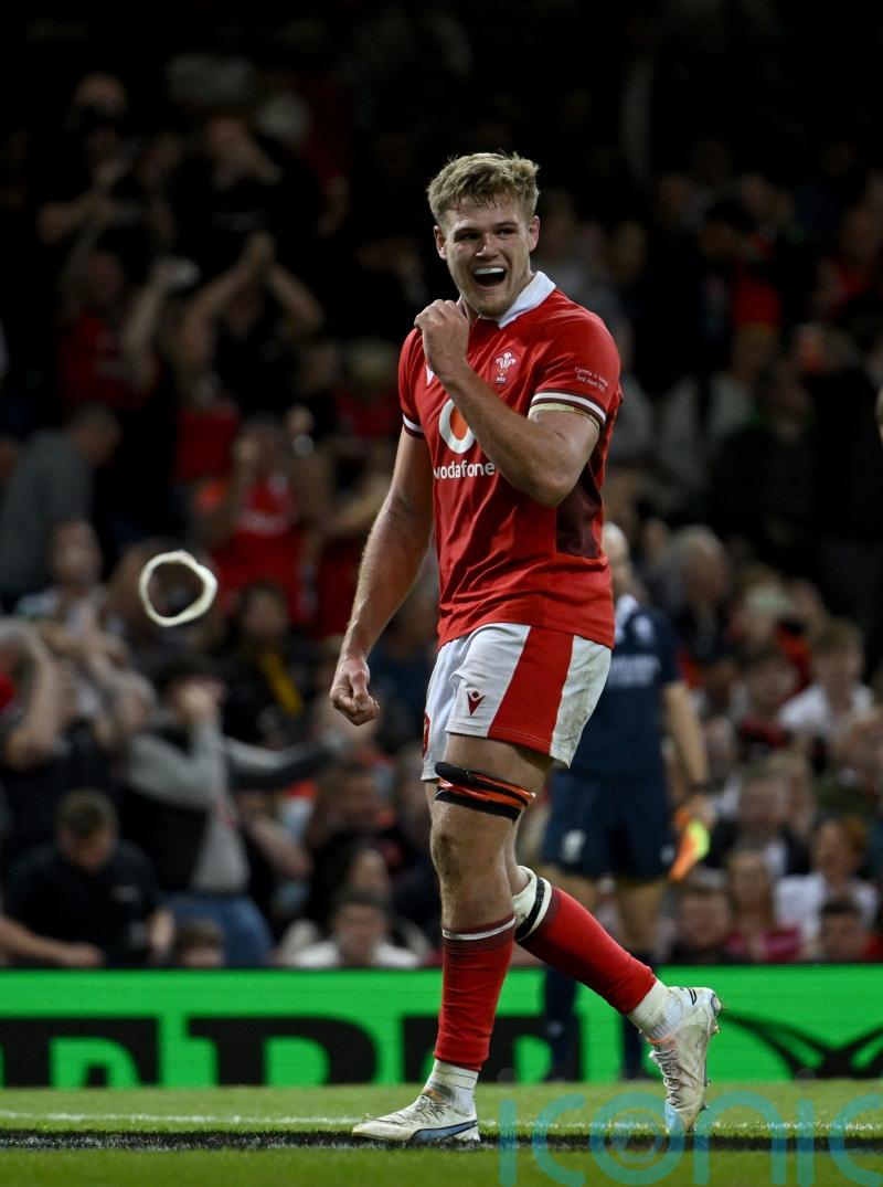 Taine Plumtree convinced Wales have ‘nothing to lose’ in Springboks showdown