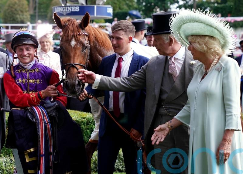 Desert aiming to be Royal Ascot Hero again