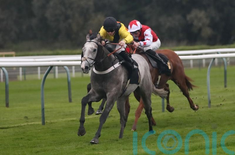 Channon sure Desperate Hero can make impact in major sprints