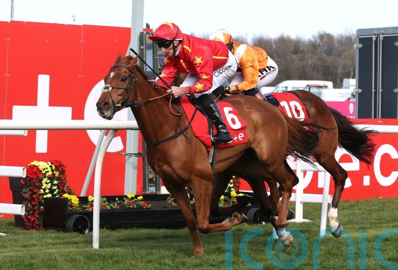 Nicol believes Wise Eagle will be ready to soar in Ebor