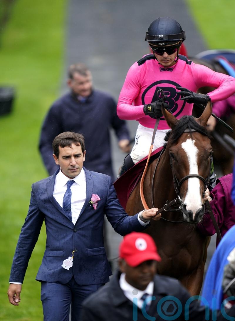 Jerome Reynier priming Facteur Cheval for Goodwood return