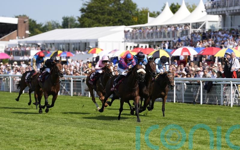 All eyes on York for round three of Big Evs and Asfoora