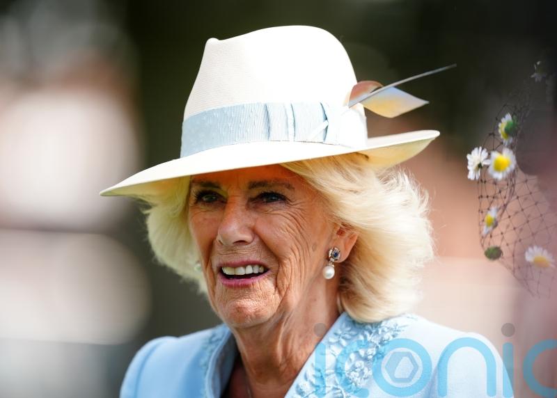 Goldream receives royal attention as the Queen makes York visit