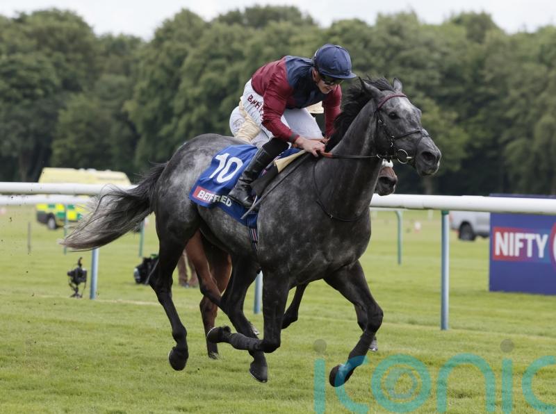 Haggas eyeing another successful French foray with Tiber Flow