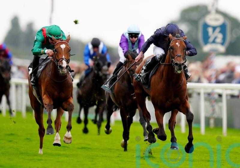 Champion Stakes high on the list of targets for Calandagan