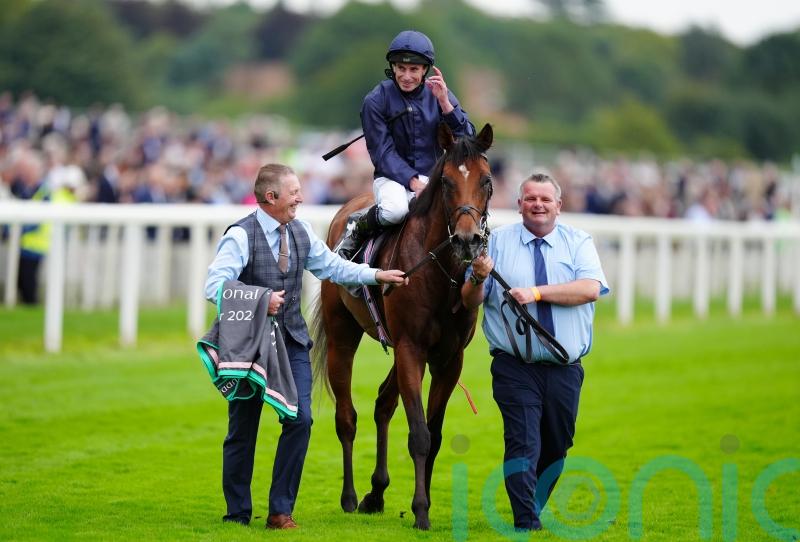 Oxx believes Troy can capitalise on wide-open Breeders’ Cup