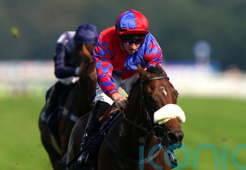 Big Evs will bid to bow out in blaze of Breeders’ Cup glory