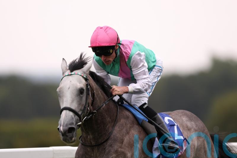 Field Of Gold camp considering next move for ‘exciting colt’