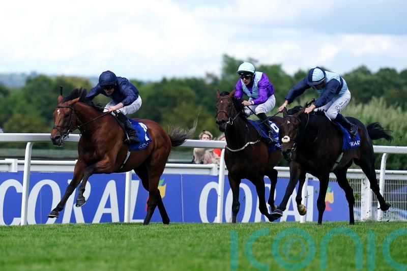 Japanese support growing ahead of Al Riffa’s Arc date