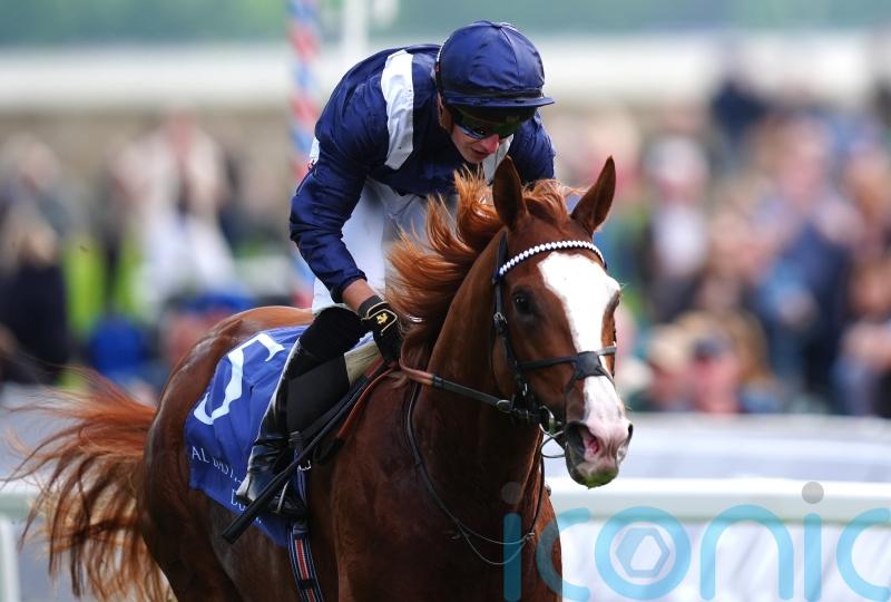 Economics and Charyn headline Champions Day fields
