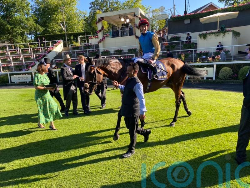 Walker hoping English Oak can leave Ascot rivals trailing