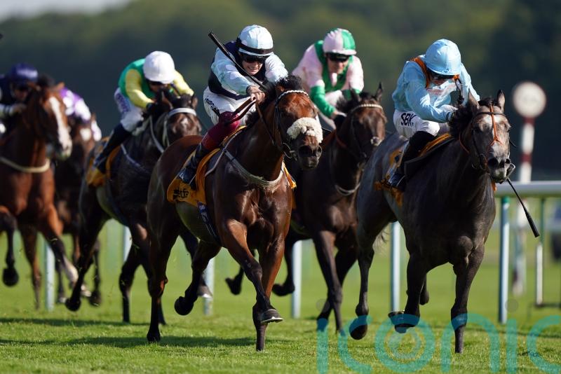 Ascot favoured for Shouldvebeenaring farewell run