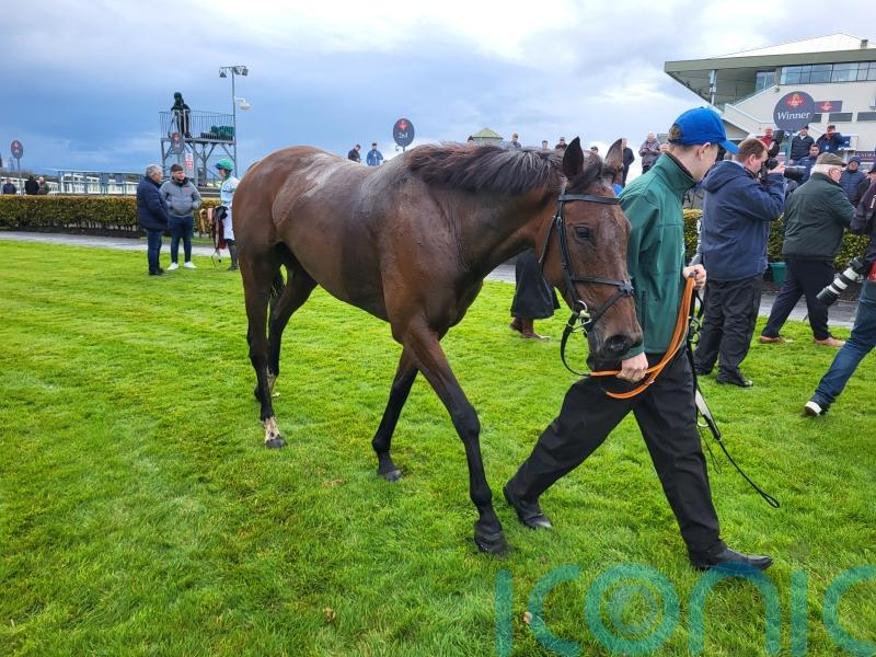 Buddy One makes winning start to life over fences at Galway