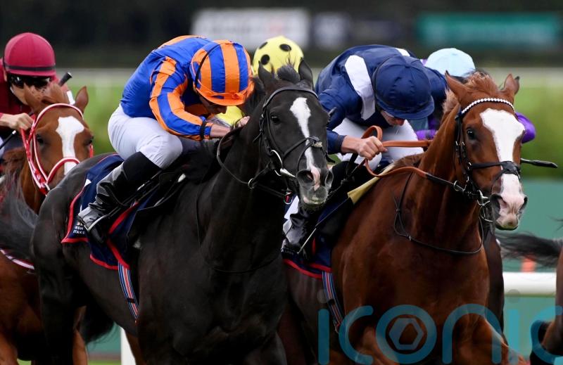 Haggas vows Ascot ground will not derail Economics challenge