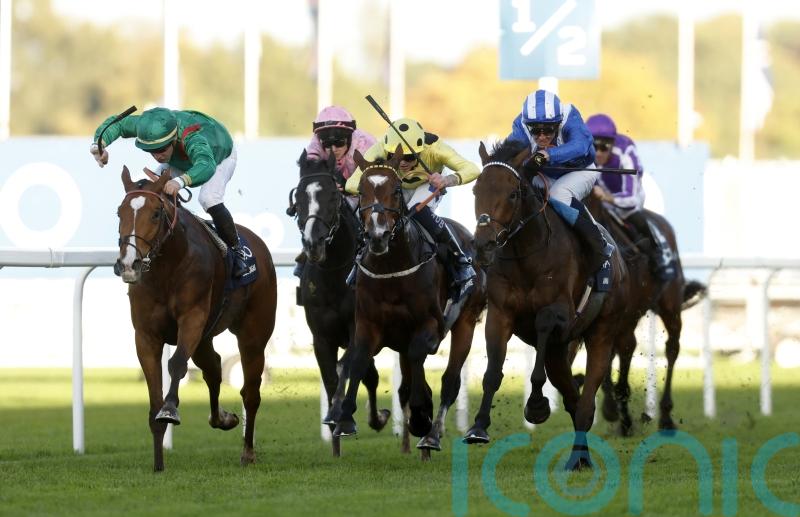 Graffard proud but rueful as Calandagan is pipped to Champion Stakes post