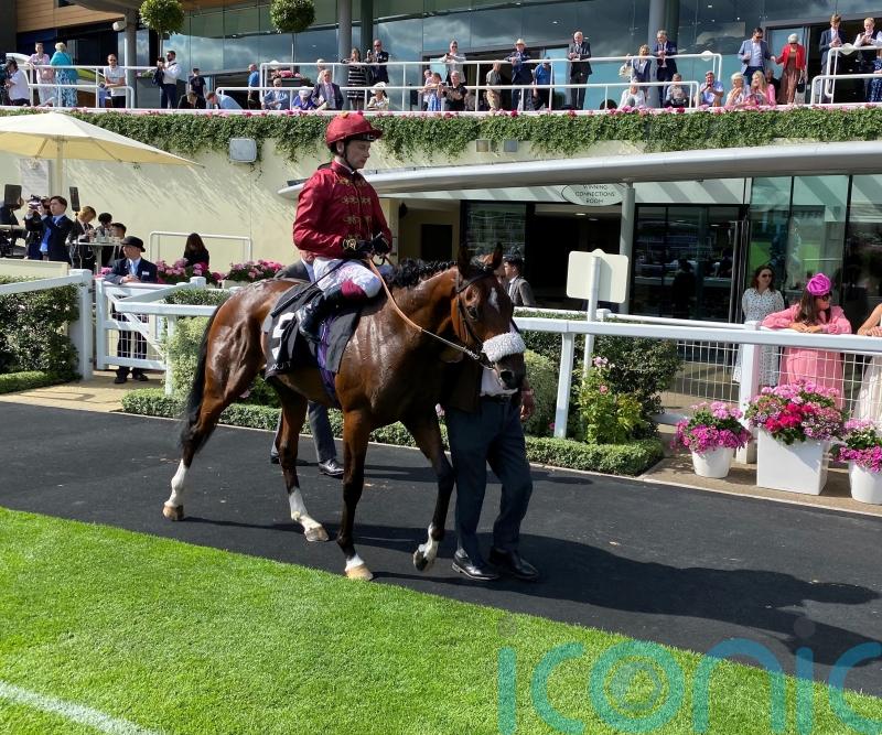 Murphy has high hopes for Breeders’ Cup duo