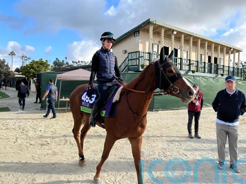 Ramatuelle set for retirement after Coolmore sale