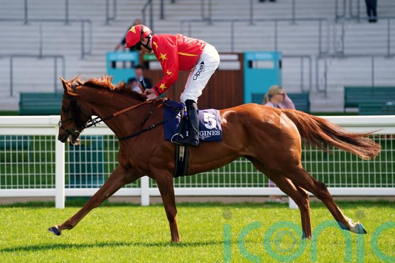 Wise Eagle backed to soar in National Hunt sphere