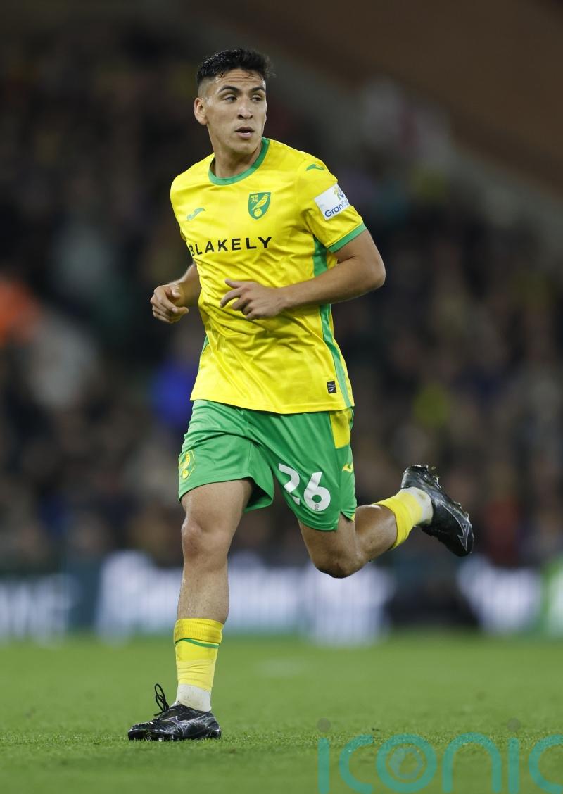 Marcelino Nunez strikes late for Norwich to deny QPR