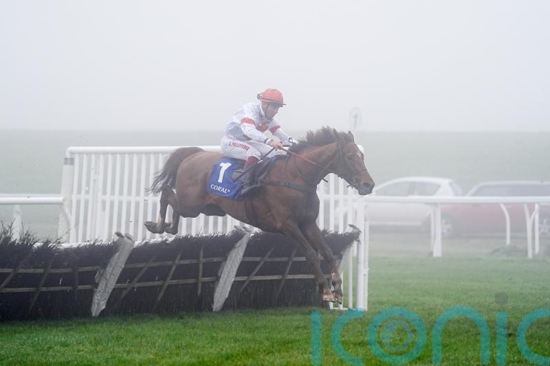 Nietzsche Has embarks on stallion career