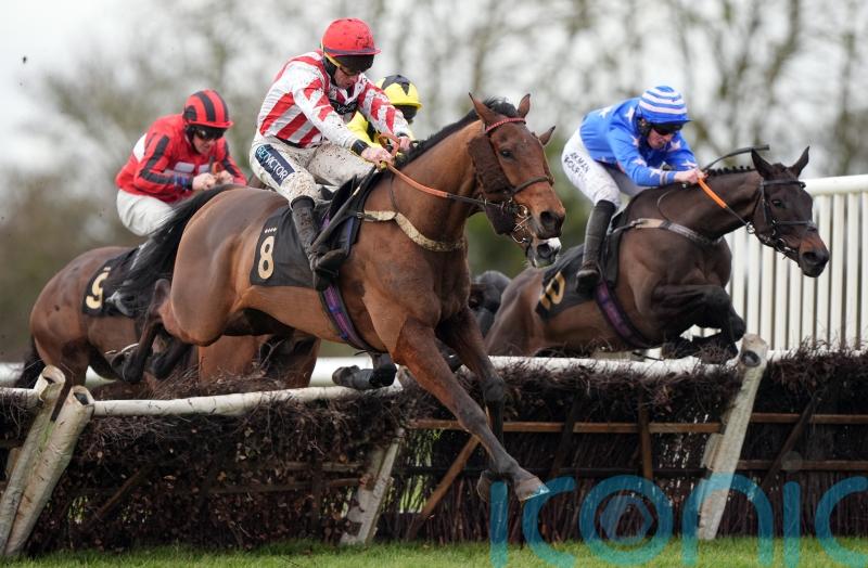 Super Survivor continues resurgence with Huntingdon success