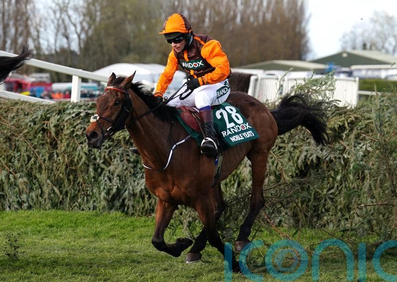 Noble Yeats getting plenty of ‘TLC’ but racing future very much up in the air